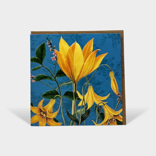 Floral Botanical Open Card Birthday Occasion Blue Yellow