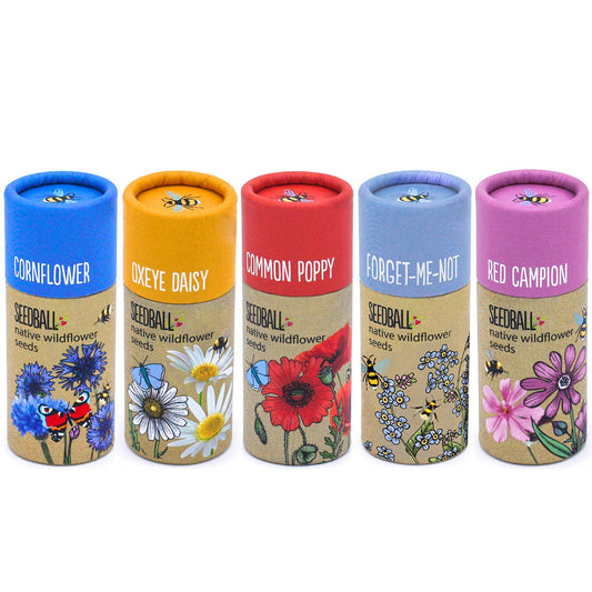 Wildflower Seedball Tubes