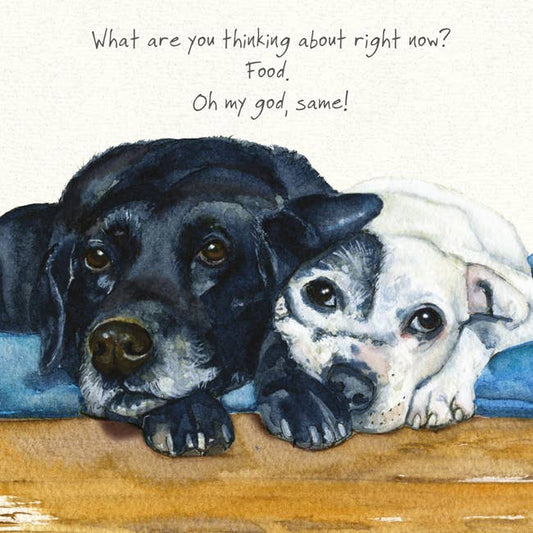 Black Labrador and Staffie Greeting Card