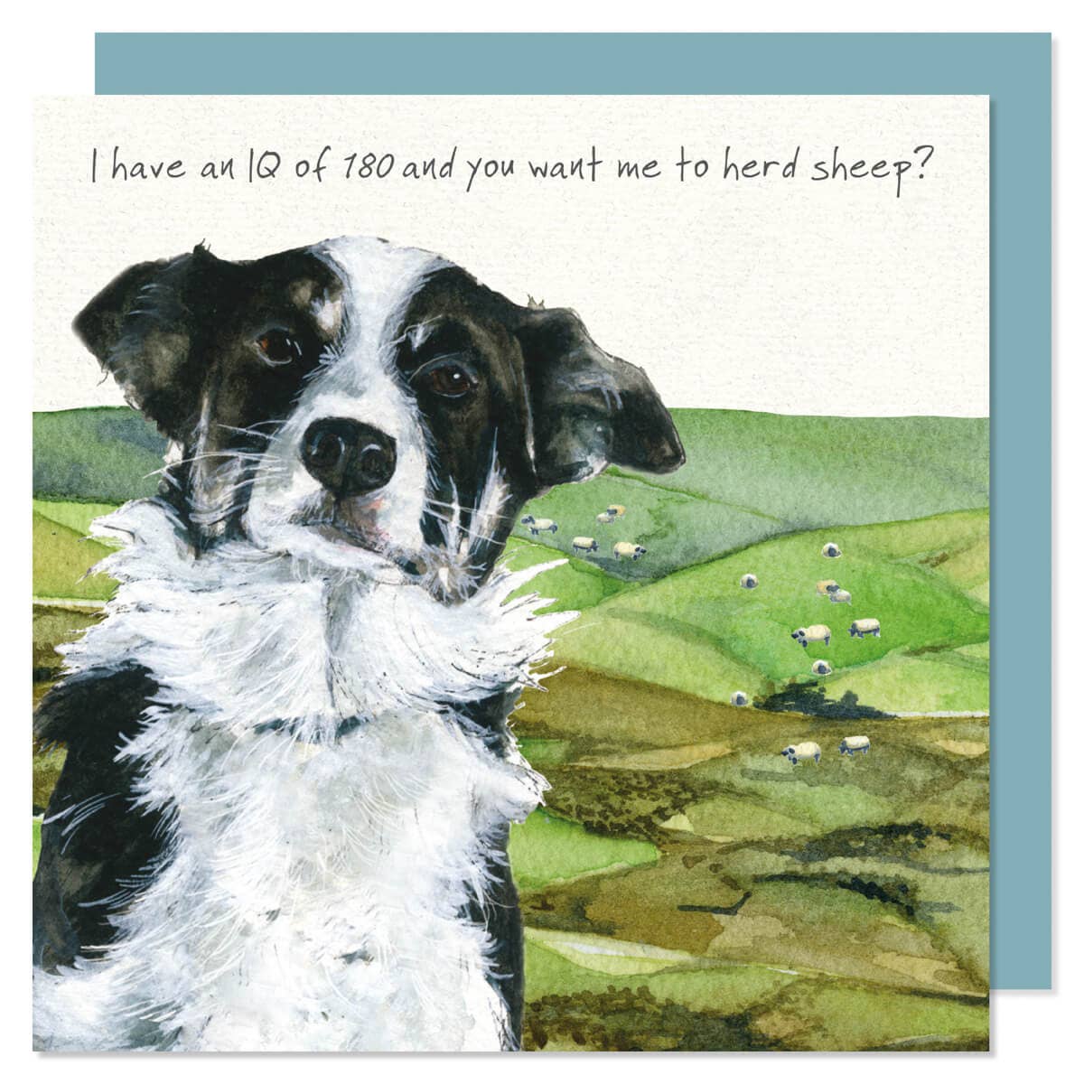Border Collie Greeting Card
