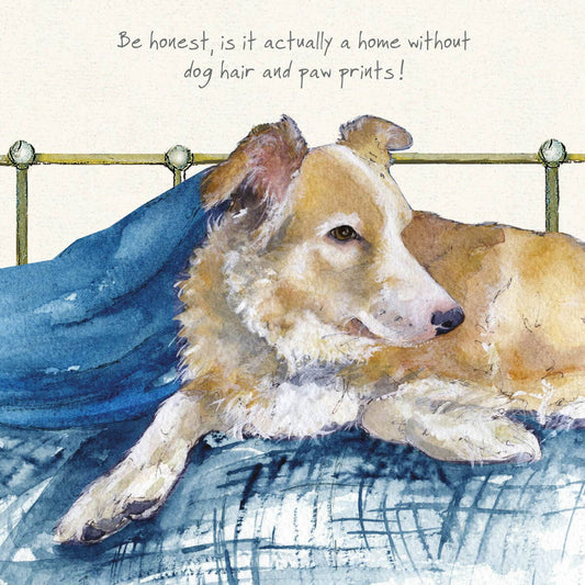 Red & White Border Collie Greeting Card