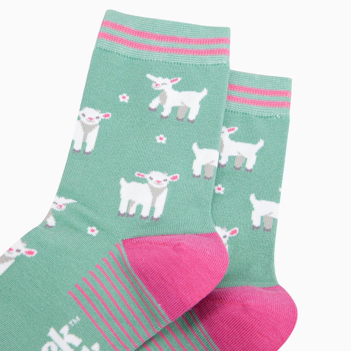Spring Lambs Bamboo Socks in Green