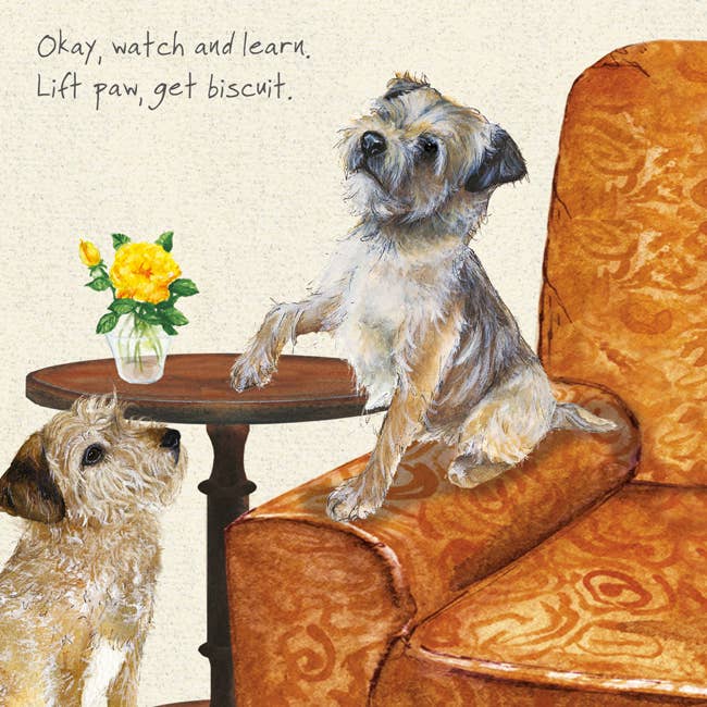 Border Terrier Dog Greeting Card