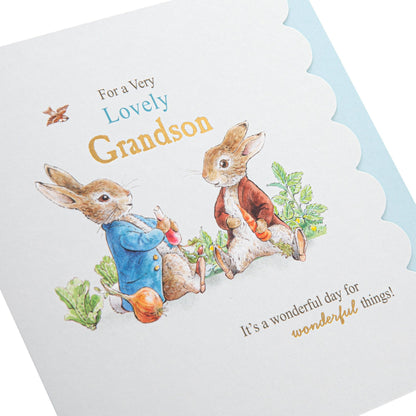 Birthday Card for Grandson - Peter Rabbit Design