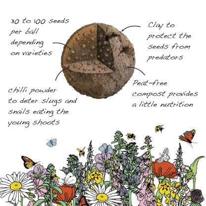 Herb Seedball Tubes