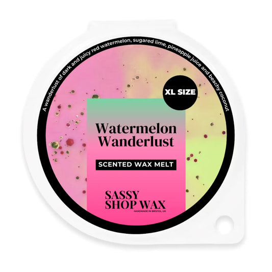 Watermelon wanderlust - wax melt
