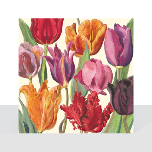 Tulips - Emma Bridgewater card