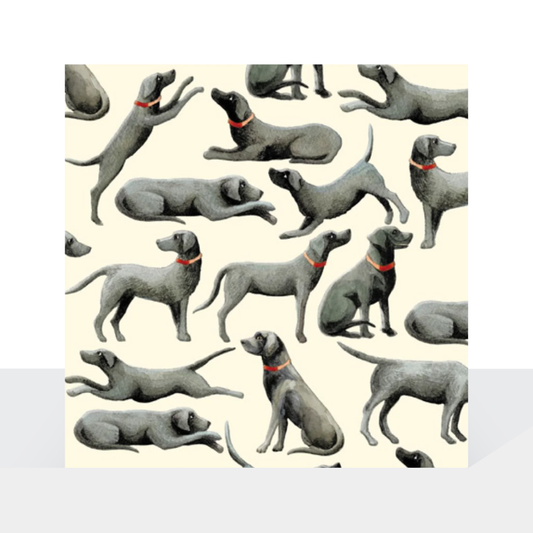 Labradors - Emma Bridgewater card