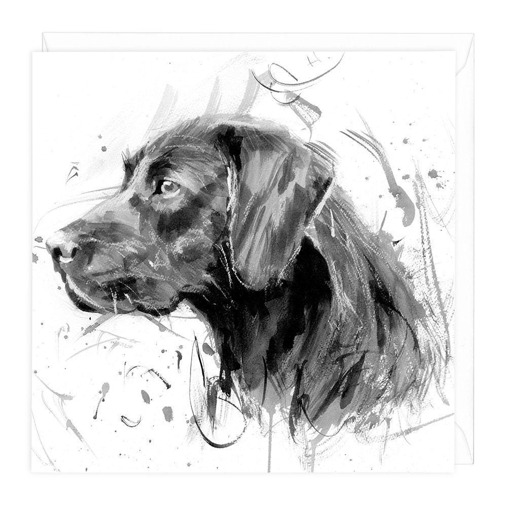 Black Labrador, blank - card