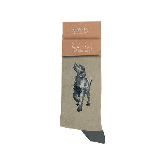 Walkies, dog bamboo socks - Wrendale Designs