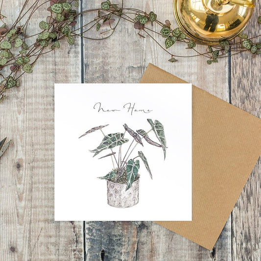 New home plant pot - card