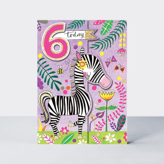 6 today zebra - card