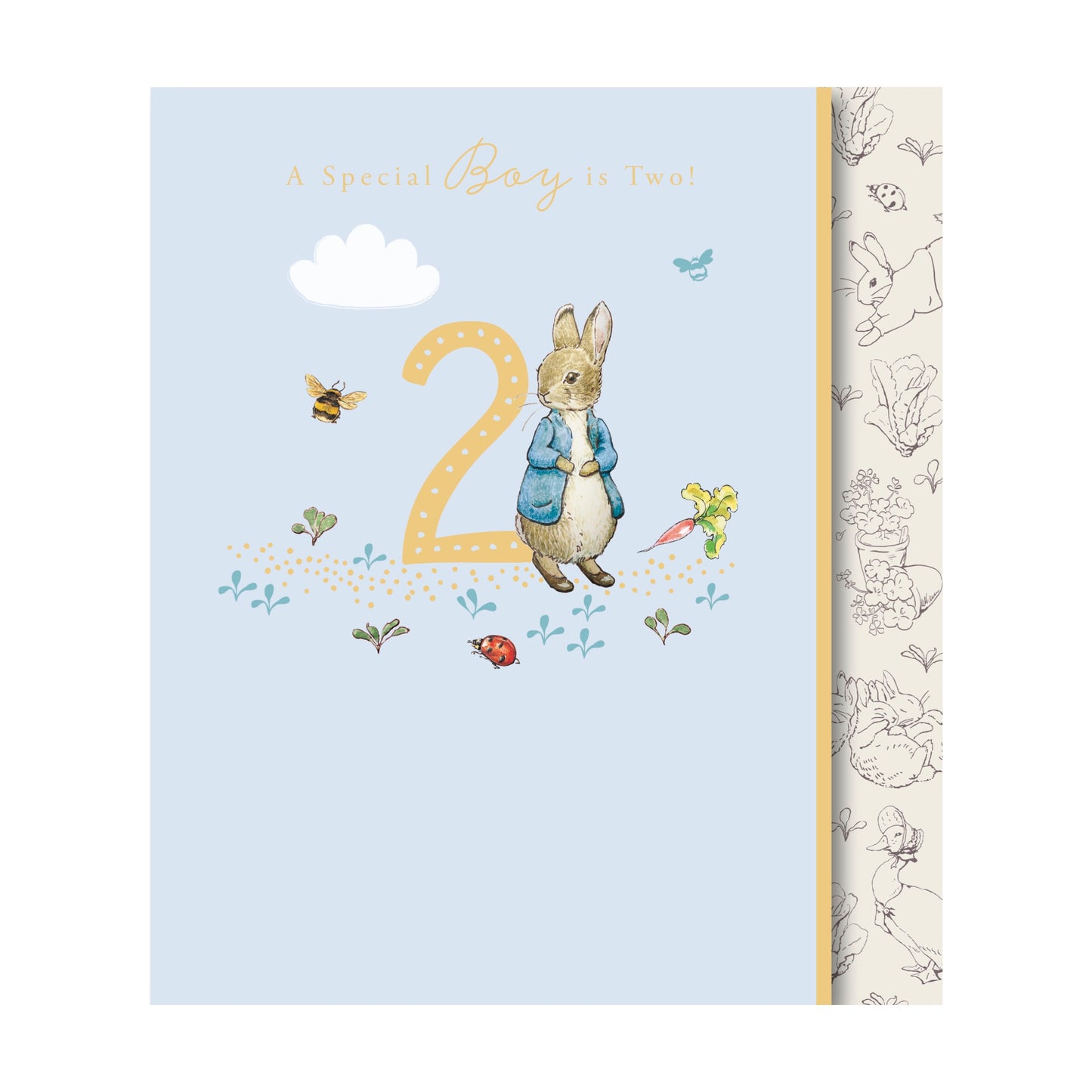 A special boy is 2 - Peter Rabbit card