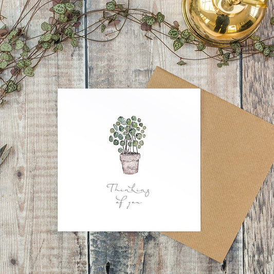 Thinking of you potted plant - card