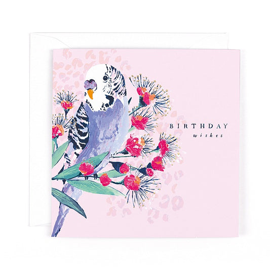 Birthday wishes exotic parrot - card