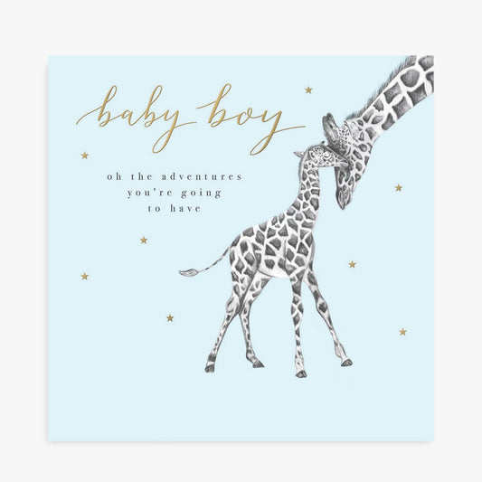 Baby boy giraffes - card