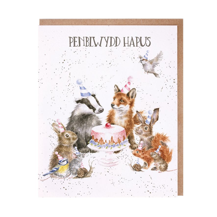 Penblwydd Hapus - Welsh birthday card - Wrendale