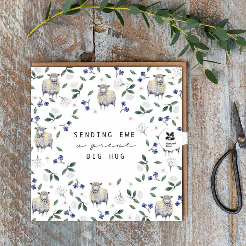 Sending ewe a great big hug - card